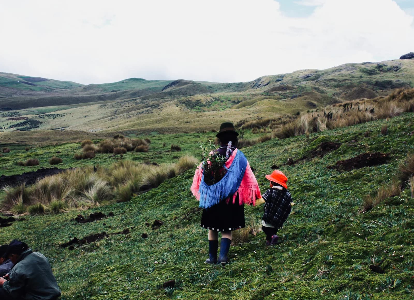 Family walking through an expansive Andean landscape