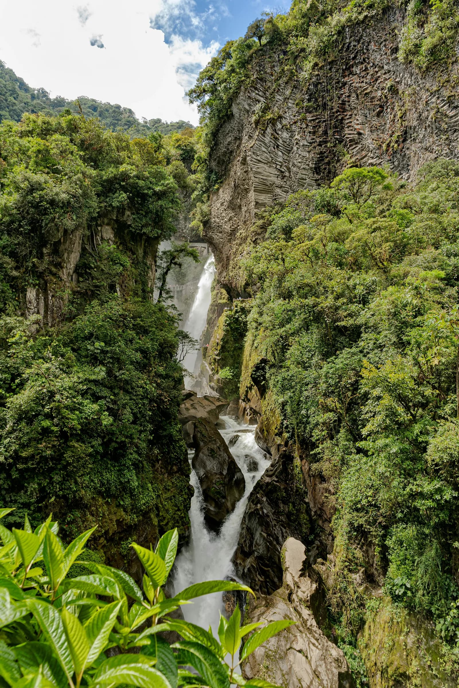 Waterfall surrounded by dense green Ecuadorian cloud forest
