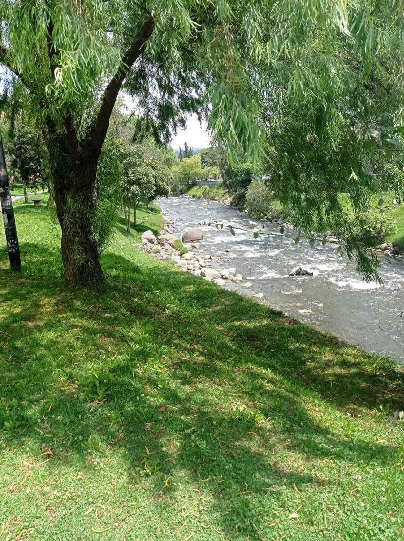 Green riverside park along the Tomebamba in Cuenca